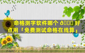 命格测字软件哪个 🍁 好点用「免费测试命格在线算」